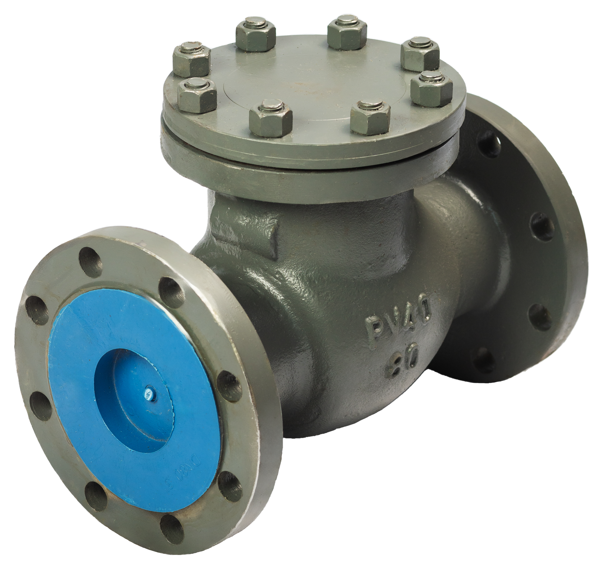 клапан обратный 19с53нж фото