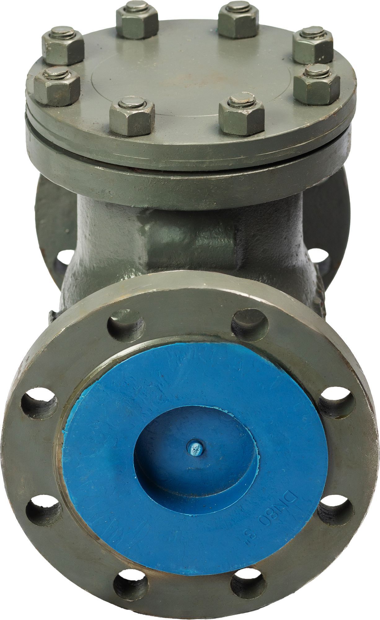 клапан обратный 19с53нж фото