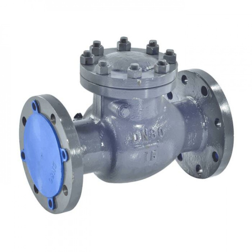 клапан обратный 19с76нж фото