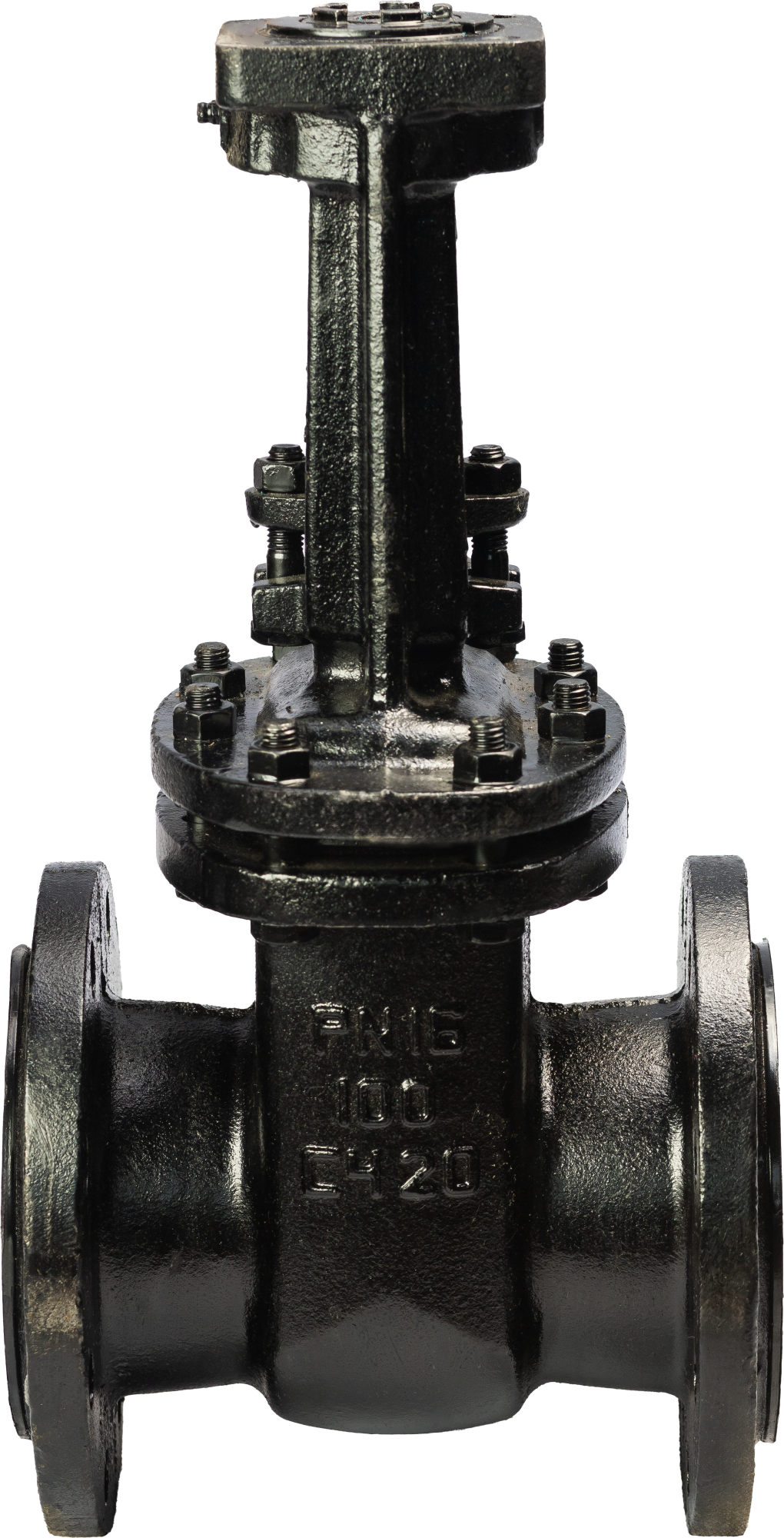 задвижка 30ч906бр фото