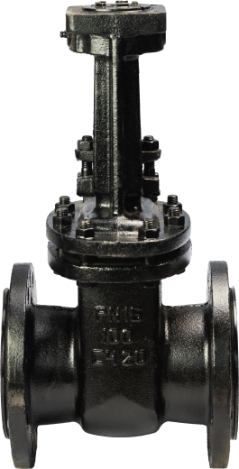 задвижка 30ч906бр фото