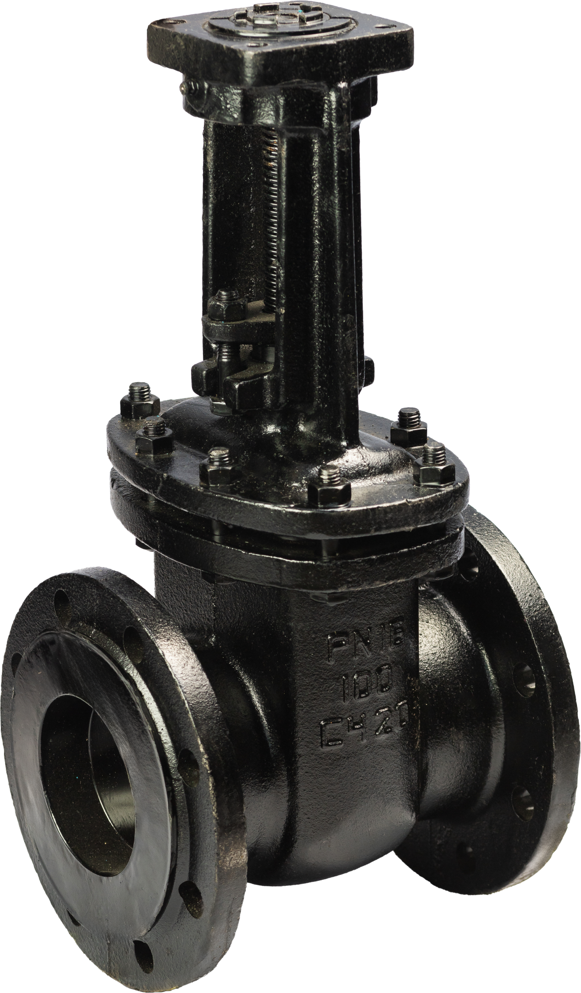 задвижка 30ч906бр фото