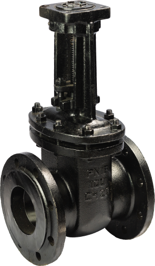 задвижка 30ч906бр фото